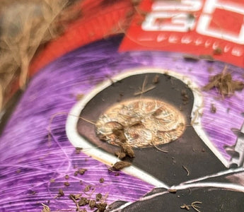 6 Crucial Facts Every Coco Grower Should Know