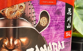 9 Must-Knows Before Choosing a Coco Nutrient