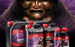 AquaZen: The Hidden power in our Samurai Coco Nutrients