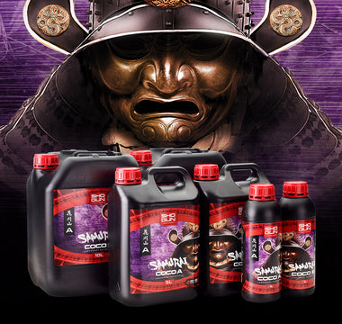 AquaZen: The Hidden power in our Samurai Coco Nutrients
