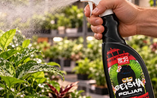 An image of a hand spraying Geisha over their healthy looking garden
