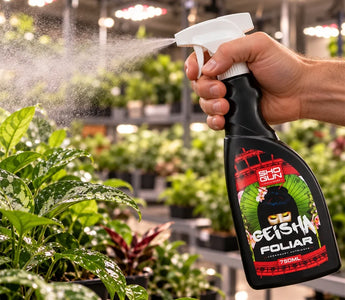 An image of a hand spraying Geisha over their healthy looking garden