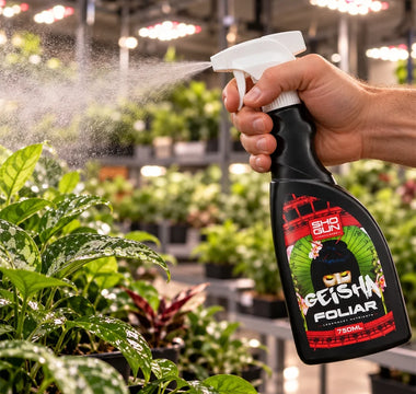 An image of a hand spraying Geisha over their healthy looking garden