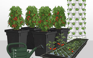 An illustration of various advanced growing systems
