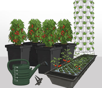 Which way of growing is right for you?