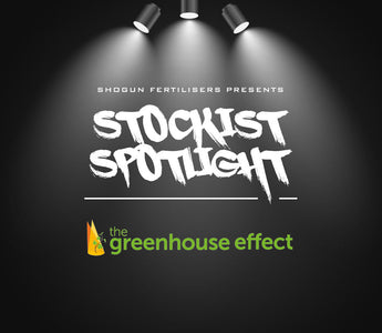 Meet The Greenhouse Effect – Retailer of the Month Q&A