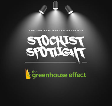 Meet The Greenhouse Effect – Retailer of the Month Q&A
