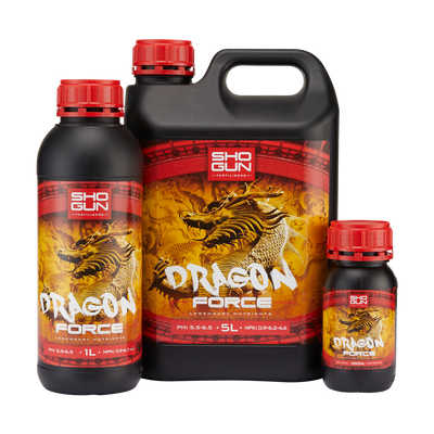 Dragon Force