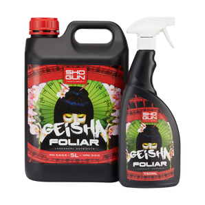 Geisha Foliar