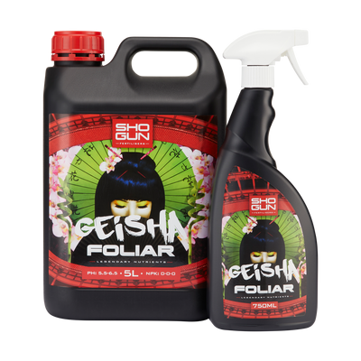 Geisha Foliar