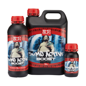 Sumo Active Boost
