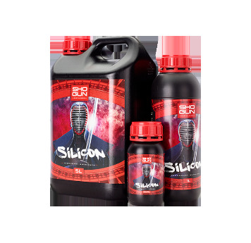 Silicon